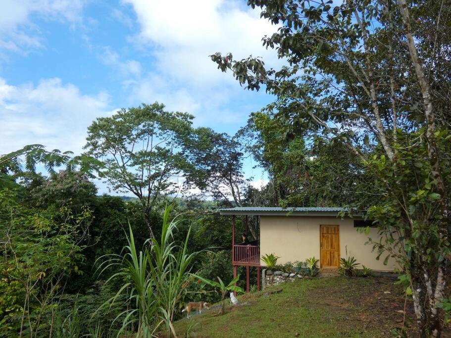 Ferienwohnung Tapiru'S House - Bahia Drake Drakes Bay Exterior foto