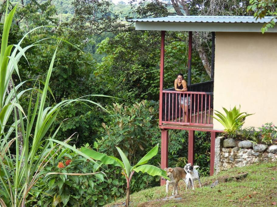Ferienwohnung Tapiru'S House - Bahia Drake Drakes Bay Exterior foto